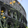 colosseo-icone