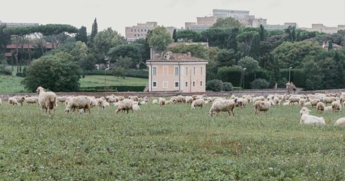 投稿についてもっと詳しく サン・カッリストのカタコンベ