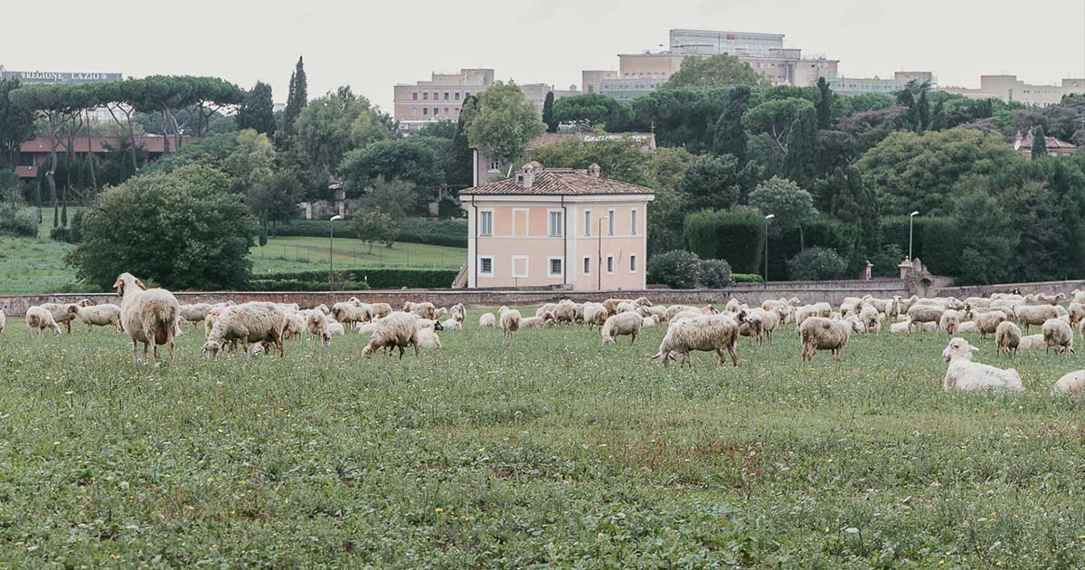 投稿についてもっと詳しく サン・カッリストのカタコンベ