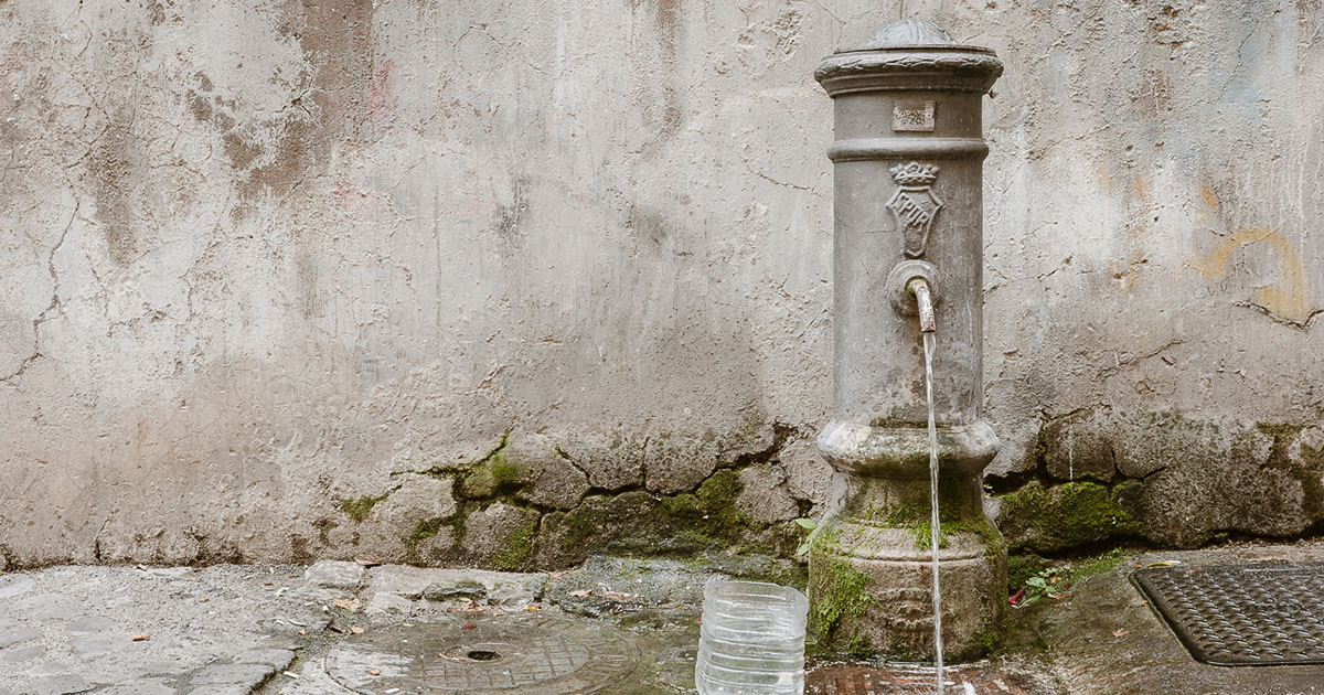 ナゾーニ 水飲み場